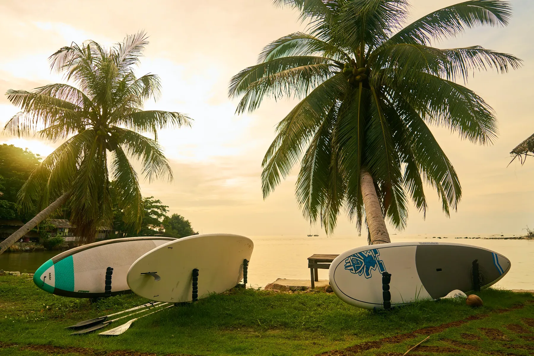 Three surfboards and paddles set against palm trees and calm waters somewhere in Thailand.