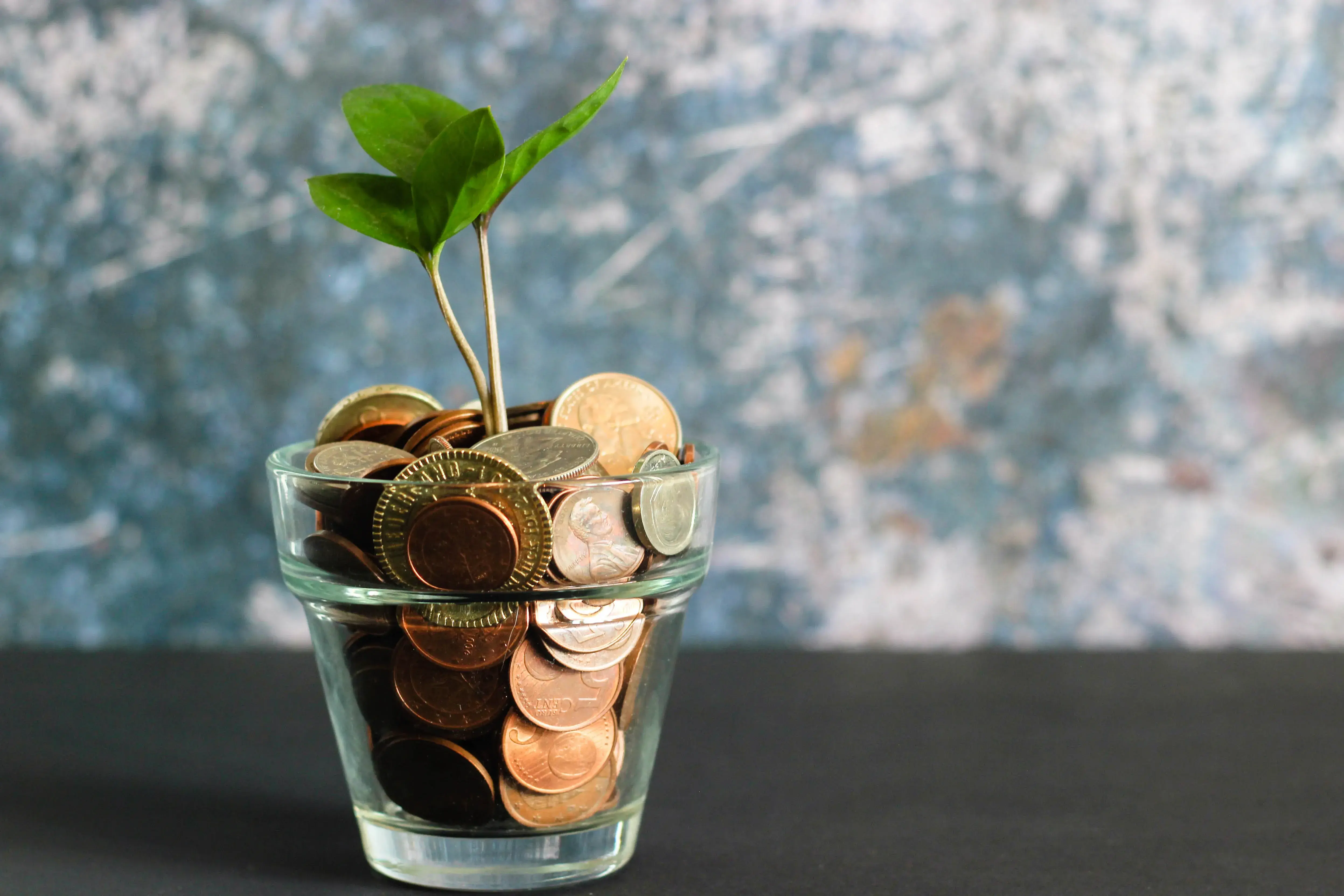 A plant grows in a flower pot full of coins. I guess it's a visual metaphor about growing your money.