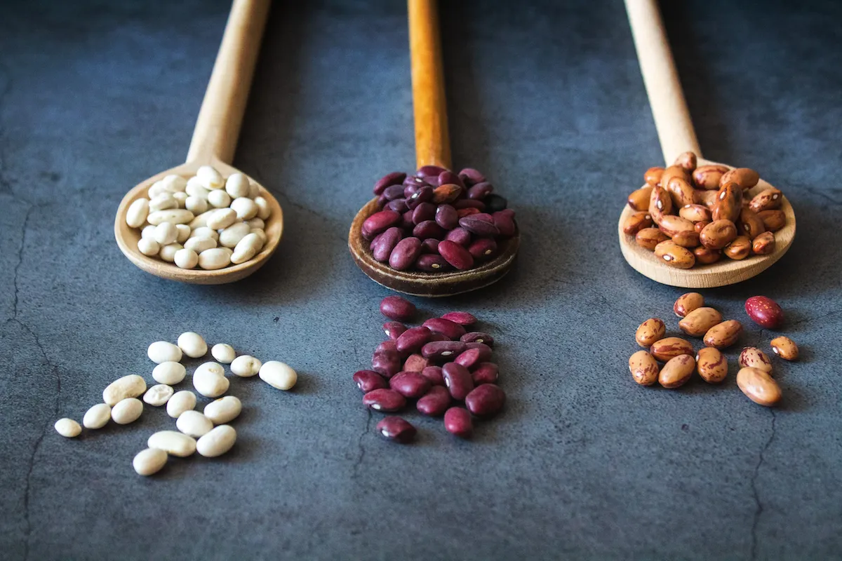 Wooden spoonfuls of cannelini, red kidney, and pinto beans resting against a dark gray stone countertop.