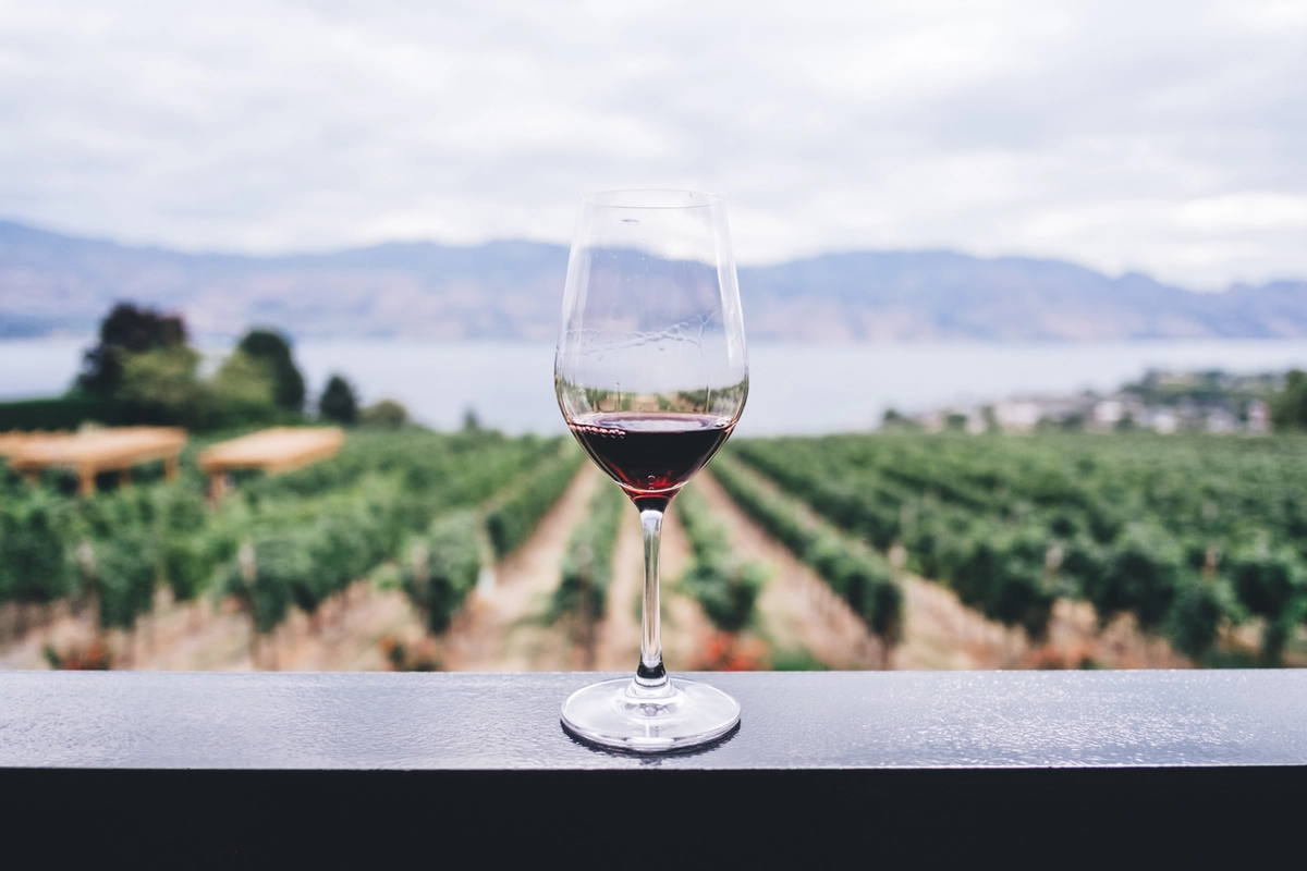 A glass of red wine set on a table with rows of plated wine grape vines and Okanagan lake as a backdrop.