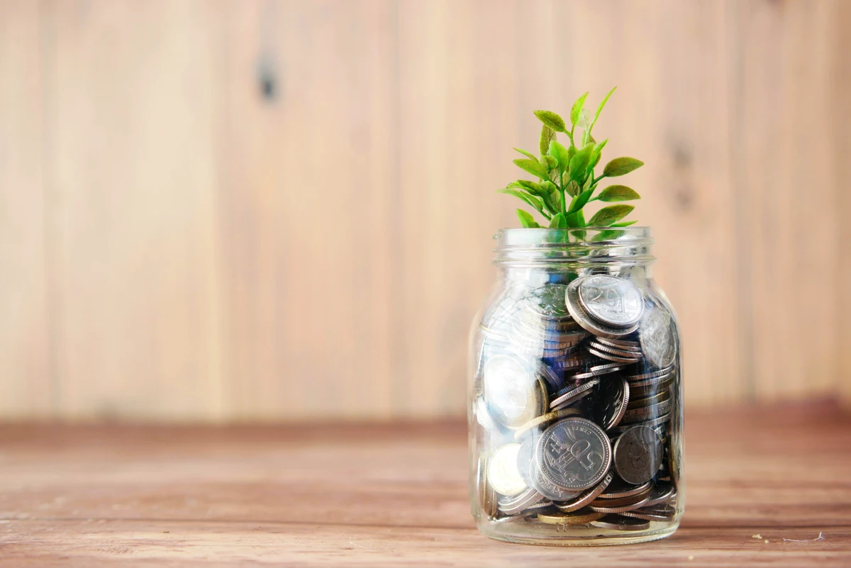 A jar full of coins with a small sprig of leaves poking out of it.